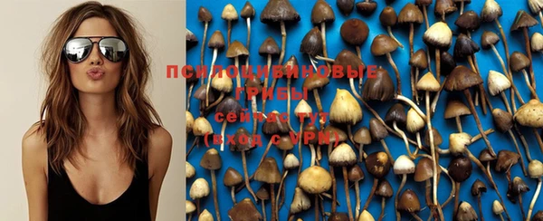 PSILOCYBIN Арсеньев