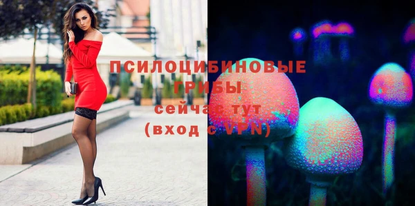 PSILOCYBIN Арсеньев